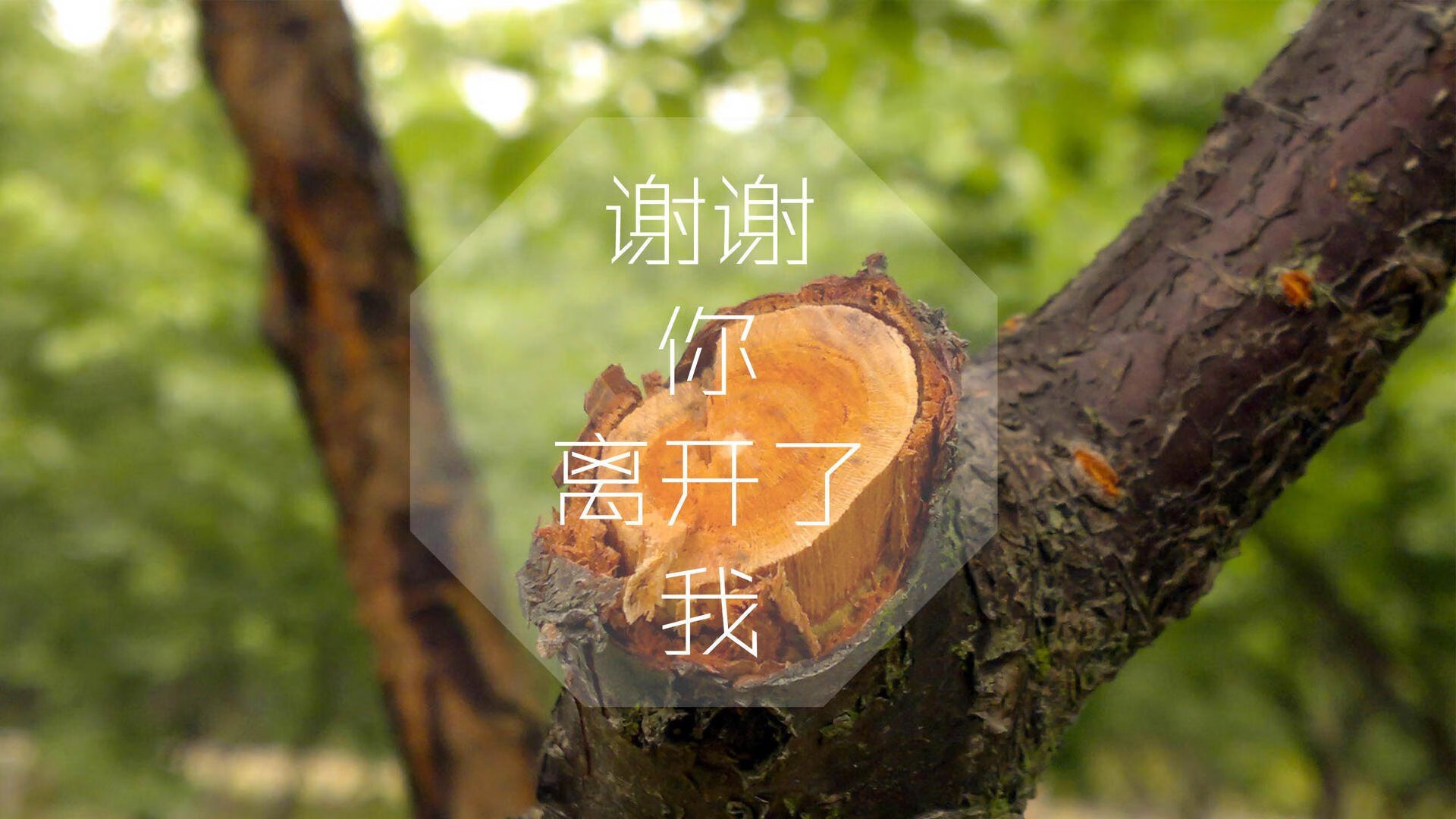 牡丹江市快递停运了吗(牡丹江快递什么时候恢复)