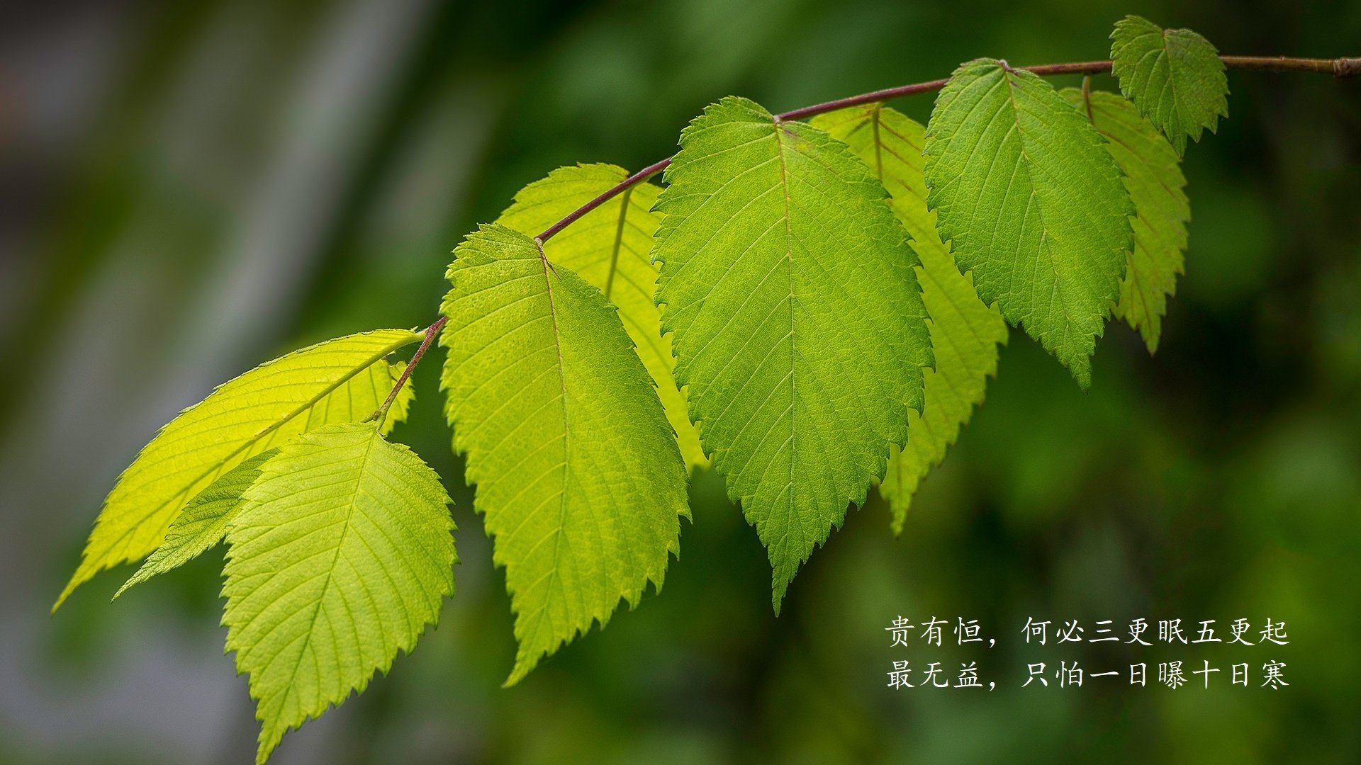 牡丹江酒店营业吗(牡丹江酒店营业吗最新消息)