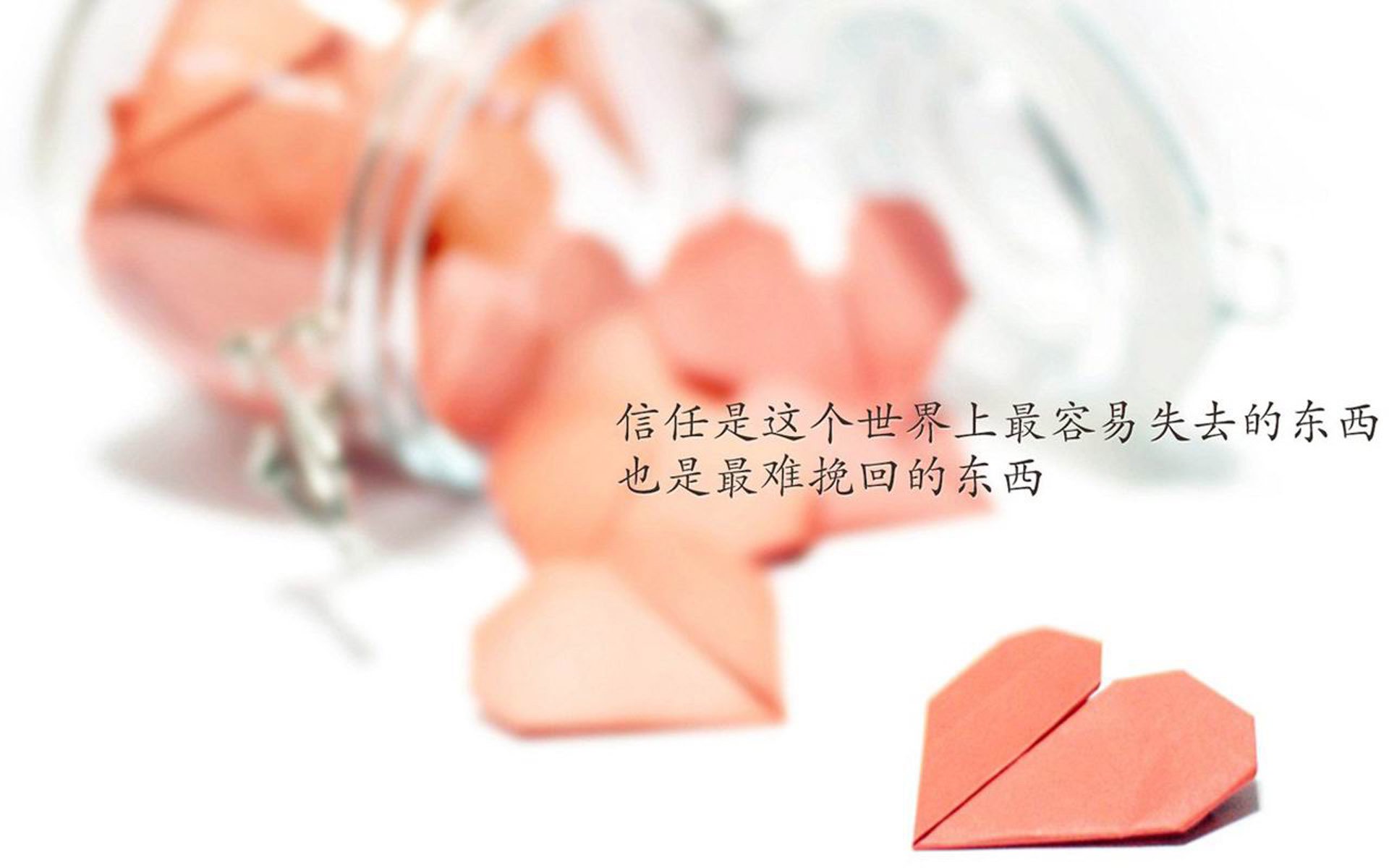 牡丹江市菜园街位置（牡丹江菜库搬到哪里了）